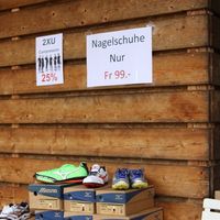 IMG 3892