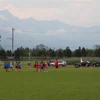 IMG 3915