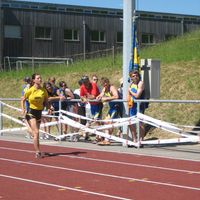 IMG 4602