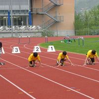 IMG 0122