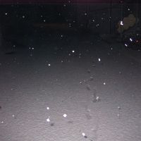 Altjahrshoeck07 027