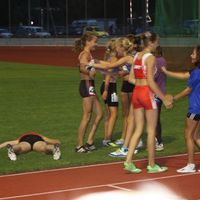 IMG 3981
