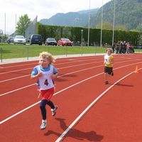 IMG 0196
