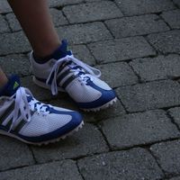 IMG 6092