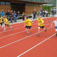IMG 0165