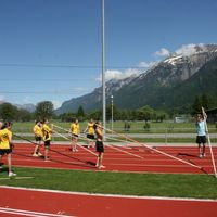 IMG 6006