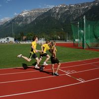 IMG 6115