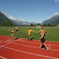 IMG 6117