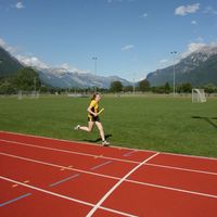 IMG 6129