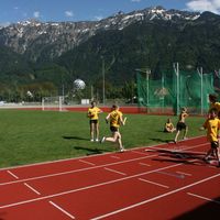 IMG 6130