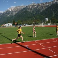 IMG 6135