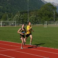 IMG 6141