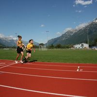 IMG 6105