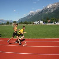 IMG 6113