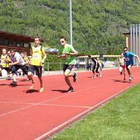 IMG 5384