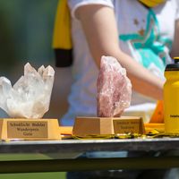Schna  llscht Bo  deler 2015-29