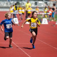 Schna  llscht Bo  deler 2015-2