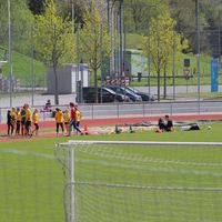 IMG 5037