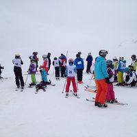 IMG 3117