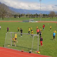 IMG 4983