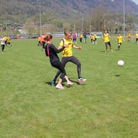 IMG 4997