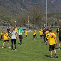 IMG 5002