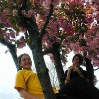 B deler06 014