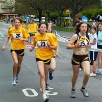 B deler06 024