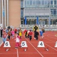 Schn llscht B deler-12