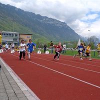 Schn llscht B deler-359