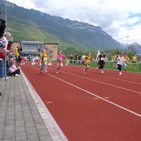 Schn llscht B deler-362